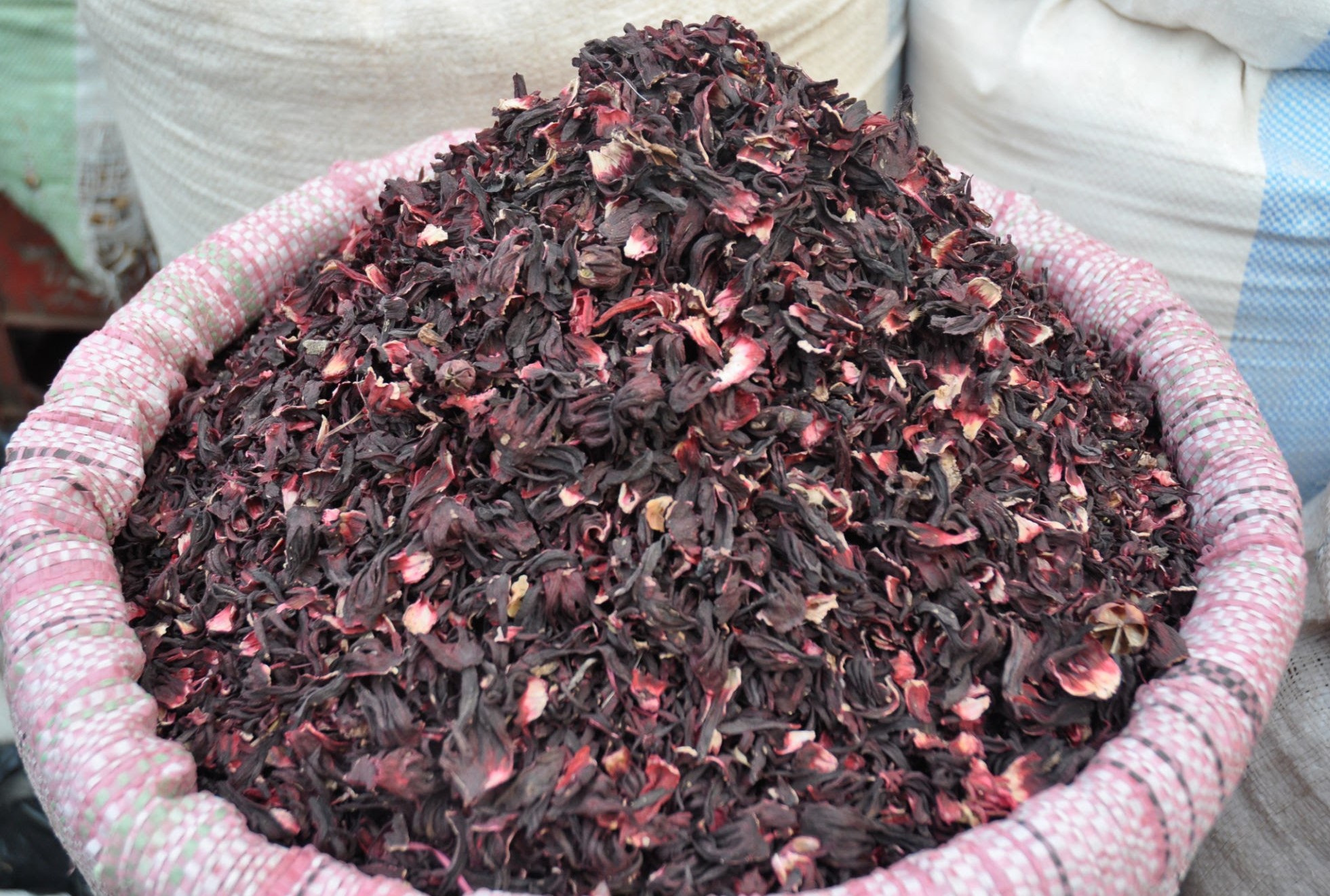 Nigerian Hibiscus Flowers